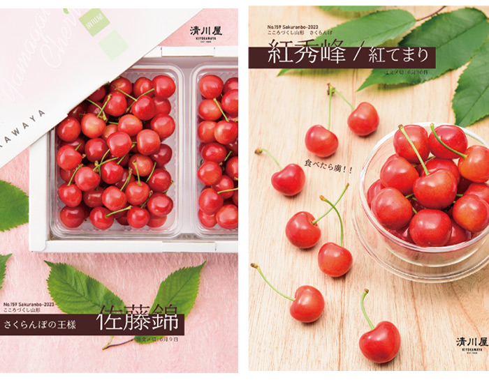 ご予約続々受付中！さくらんぼカタログ