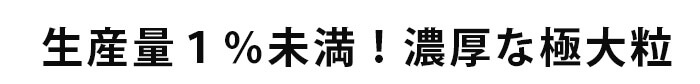 希少な極大粒を頬張る幸せ♪　紅てまり