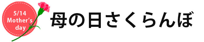 母の日さくらんぼ