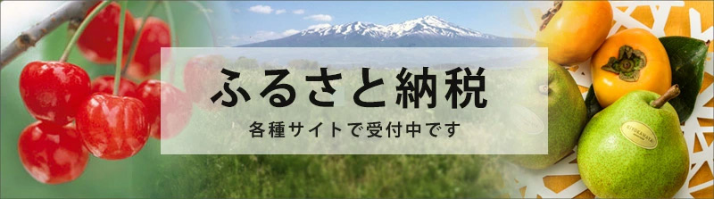 ふるさと納税　ゴシック版　