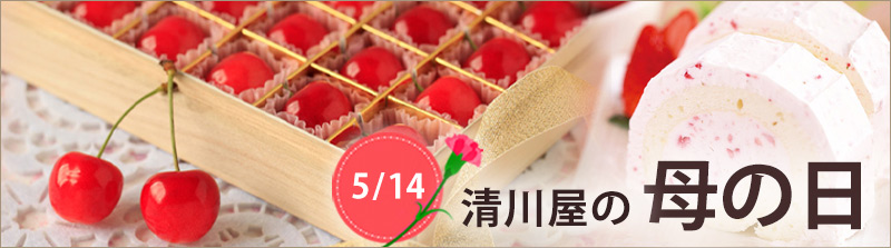 23年母の日ゴシック版　