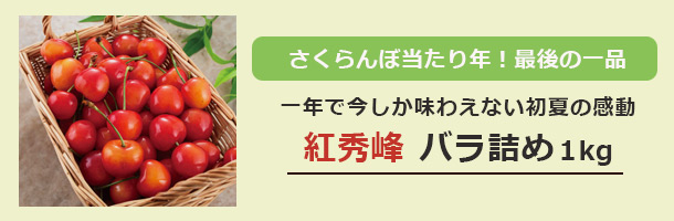 ラストチャンス！いちおしさくらんぼ紅秀峰