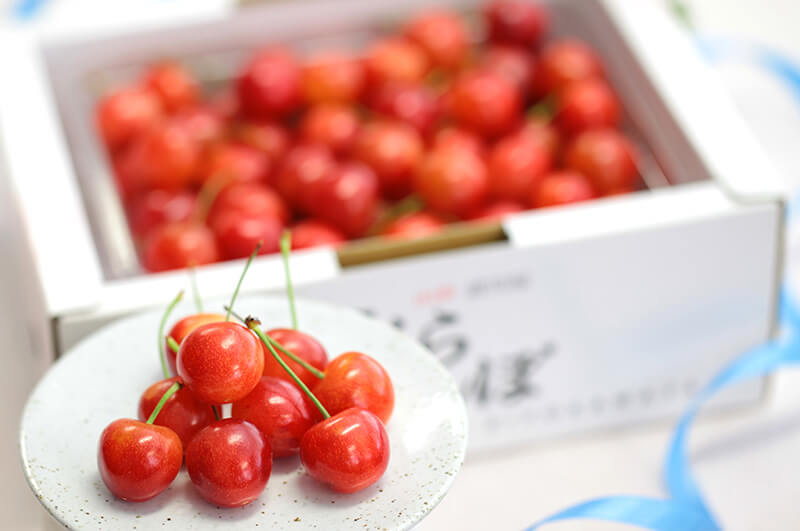 秀選佐藤錦メインイメージ