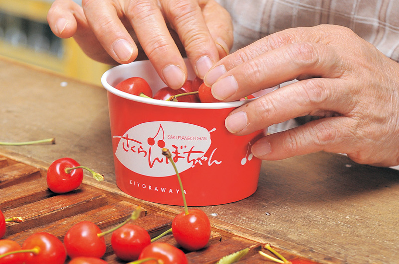 さくらんぼちゃんのカップに佐藤錦を詰める