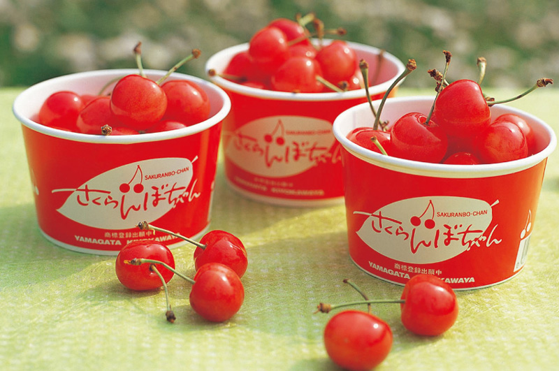 さくらんぼちゃんイメージ