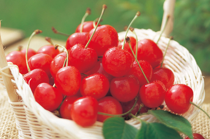 秀選佐藤錦メインイメージ