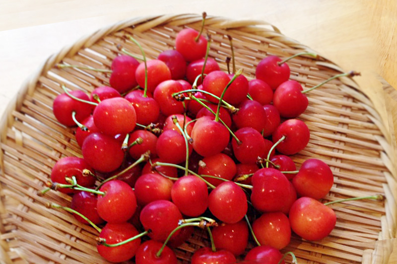 500gは約70粒。3～4人でお召し上がりいただける量です