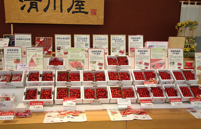 さくらんぼを販売する清川屋店舗