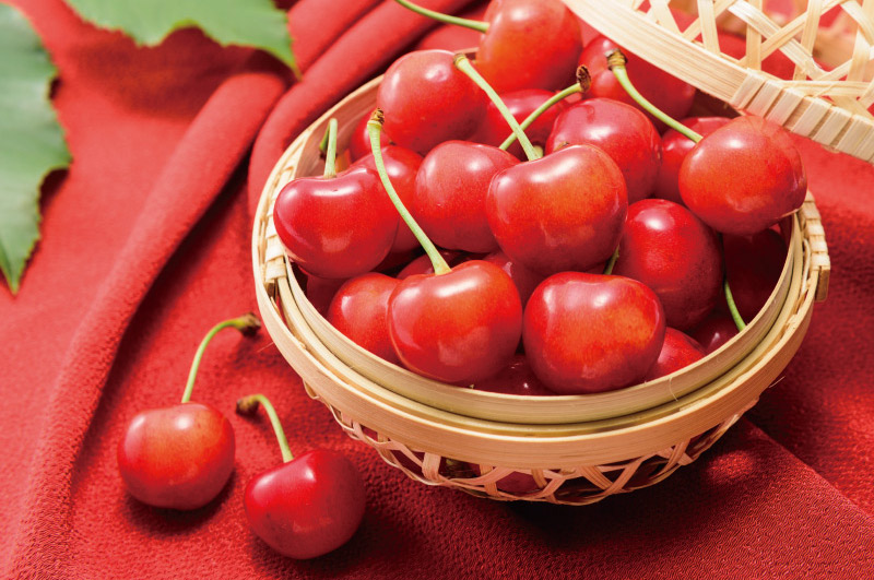 特選佐藤錦_メインイメージ