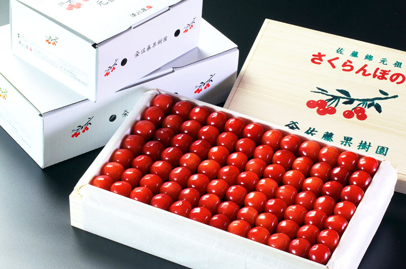 元祖佐藤錦_メインイメージ