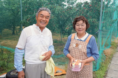 特選紅秀峰_清川屋のさくらんぼ農家さん