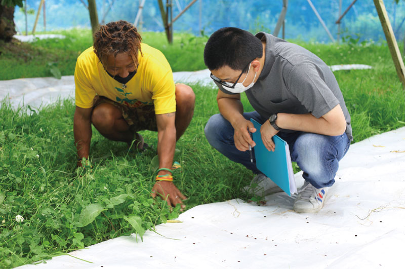真の桜桃 佐藤錦500g_植松さんと清川屋スタッフ