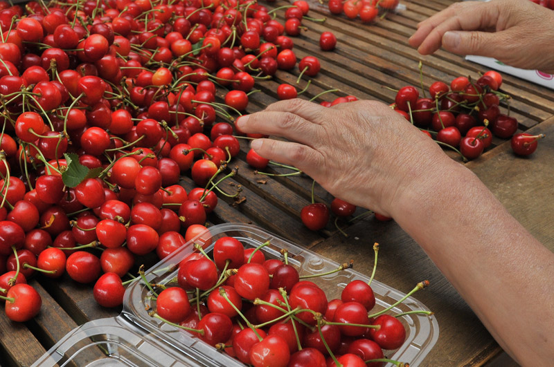 パック詰めの風景