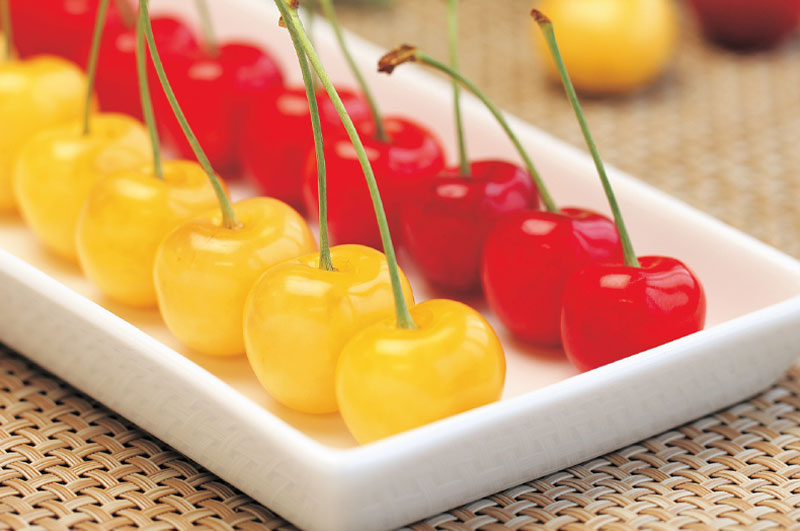 月山錦＆佐藤錦_メインイメージ