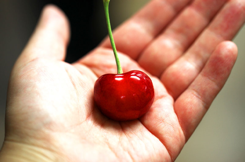 紅てまり_ぽってりとしたハート形がキュート