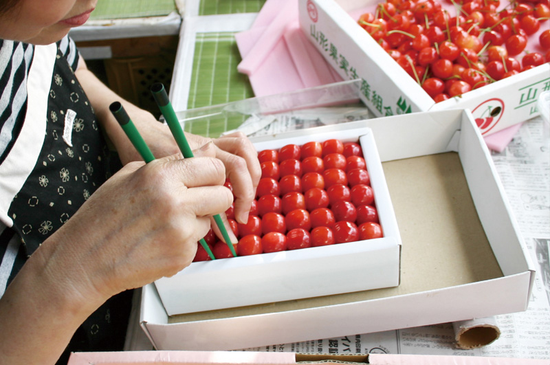 箸で整え微調整