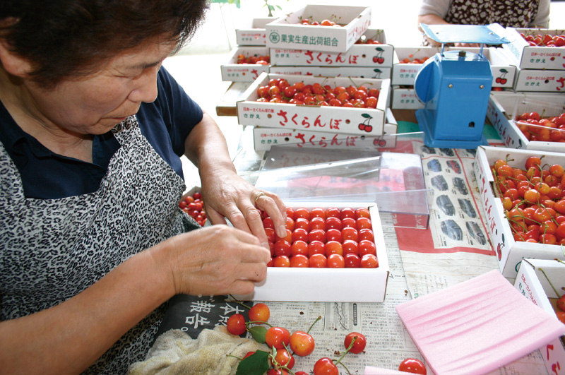 職人詰めの様子