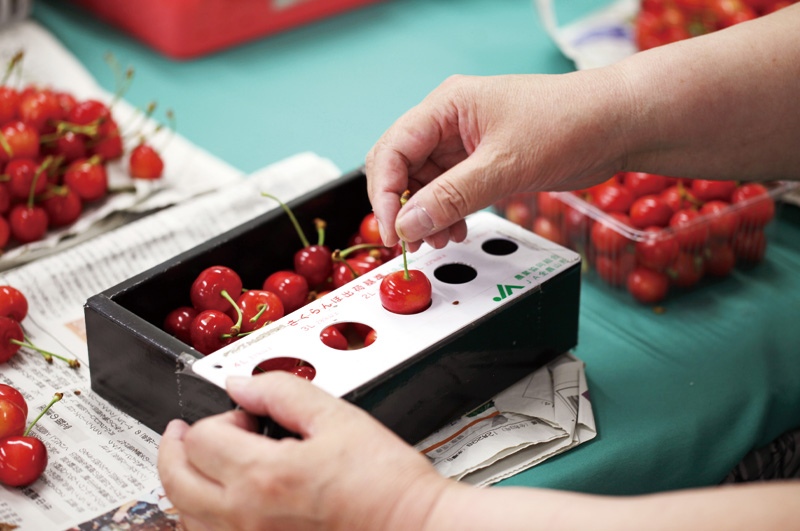 大きさを揃える