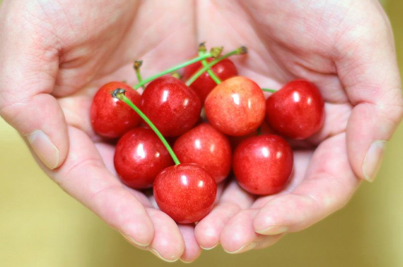 さくらんぼイメージ