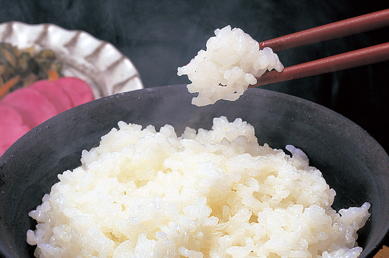 伝説の庄内米つや姫