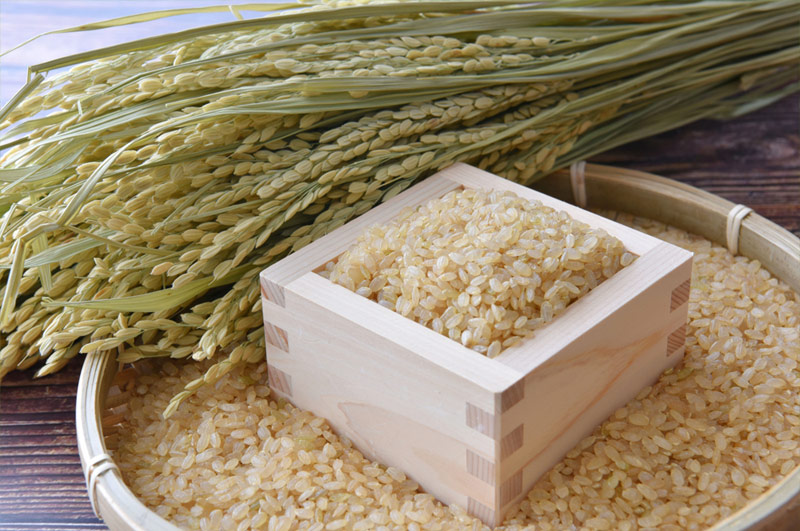 伝説の庄内米つや姫玄米