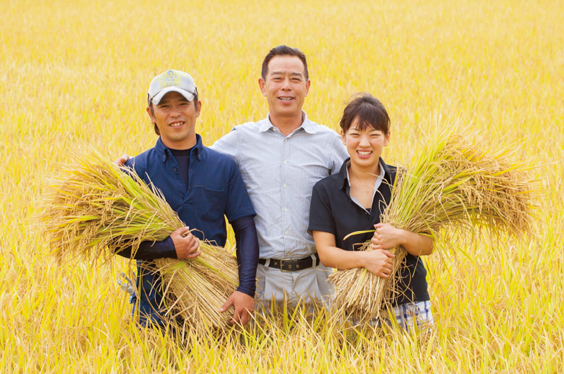 井上農場のつや姫