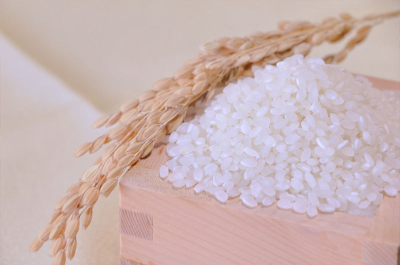 はえぬきイメージ