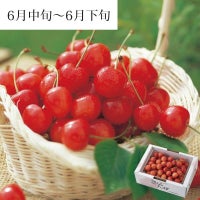 秀選佐藤錦 バラ詰め500g_パッケージイメージ