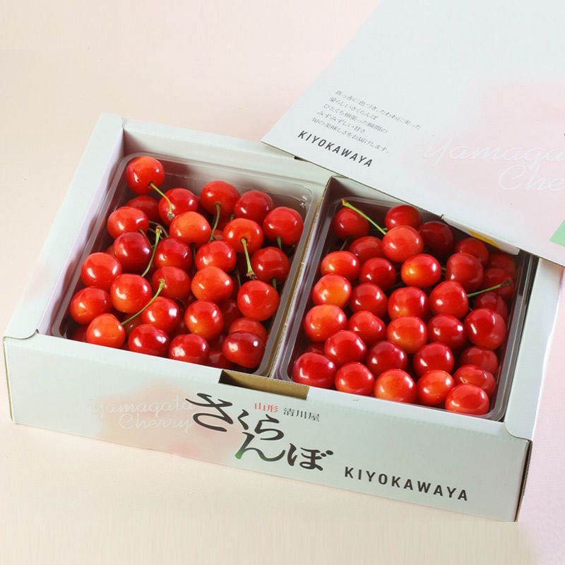 佐藤錦 秀選バラ詰め 1kg 山形さくらんぼたっぷり1kg｜清川屋