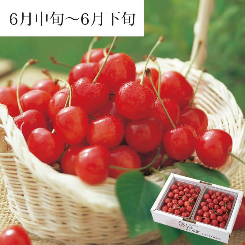 佐藤錦 バラ詰め 1kg_パッケージイメージ