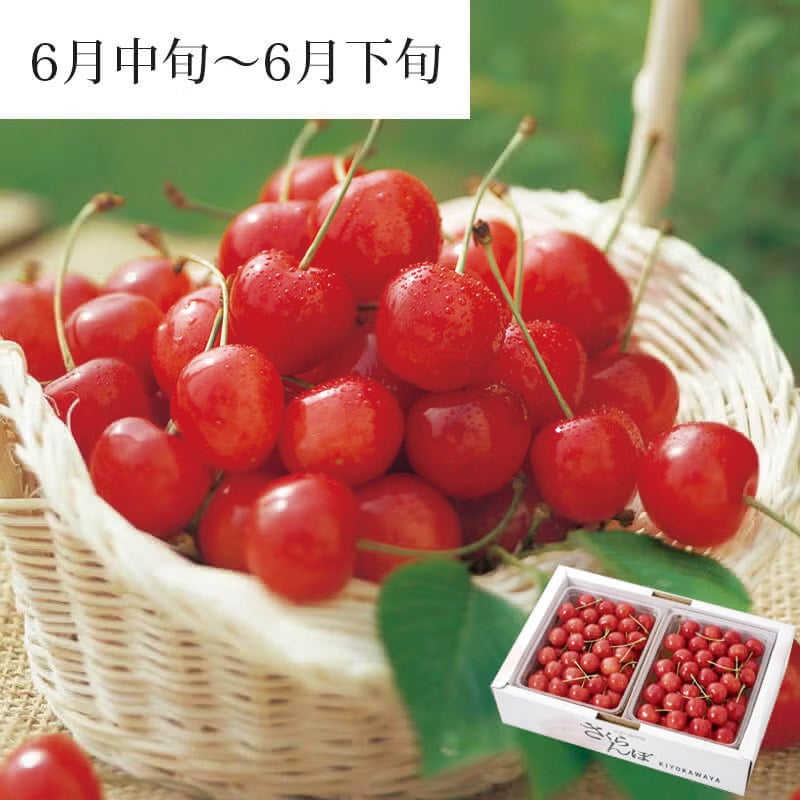 佐藤錦 バラ詰め 1kg_パッケージイメージ