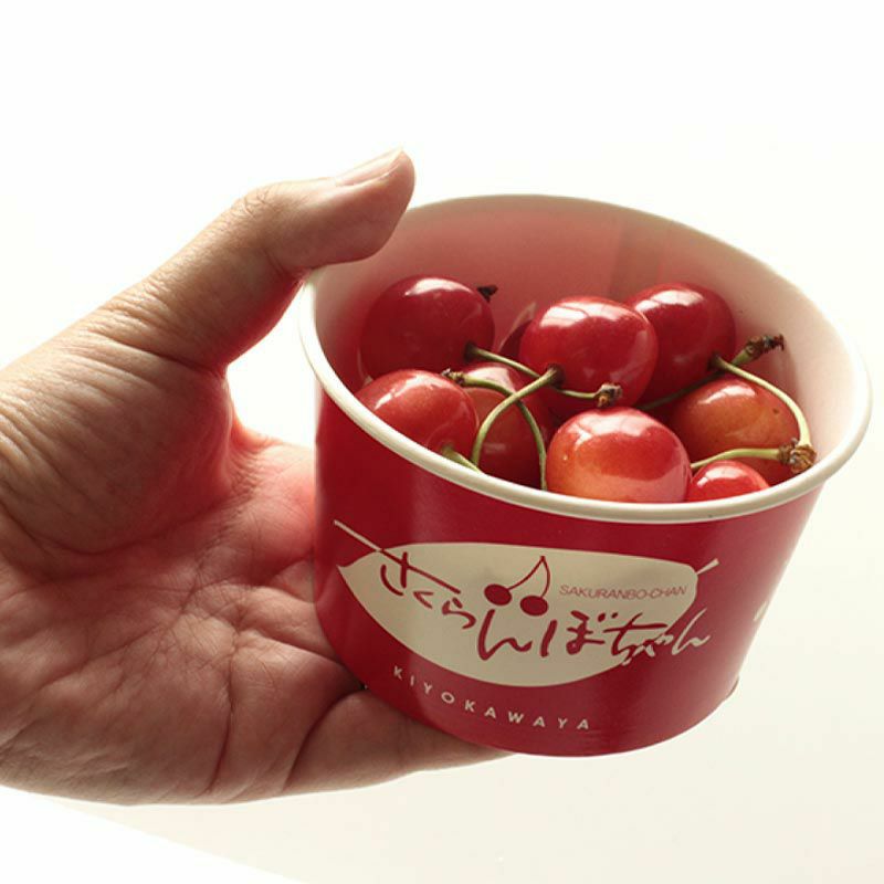 佐藤錦のさくらんぼちゃん 山形さくらんぼおすそ分けカップ入り｜清川屋