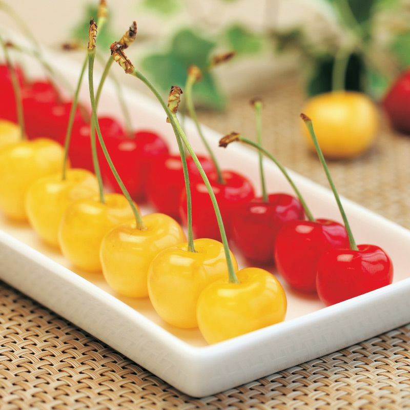 000000000008-01.jpg?size=l&w=