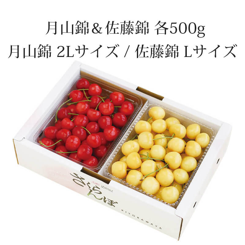 月山錦 2L ＆ 佐藤錦 L バラ詰め 各500gセット 山形さくらんぼ黄色い
