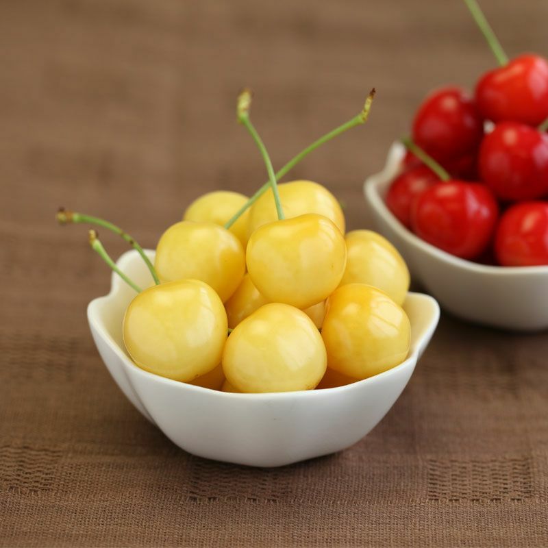 000000000008-05.jpg?size=l&w=