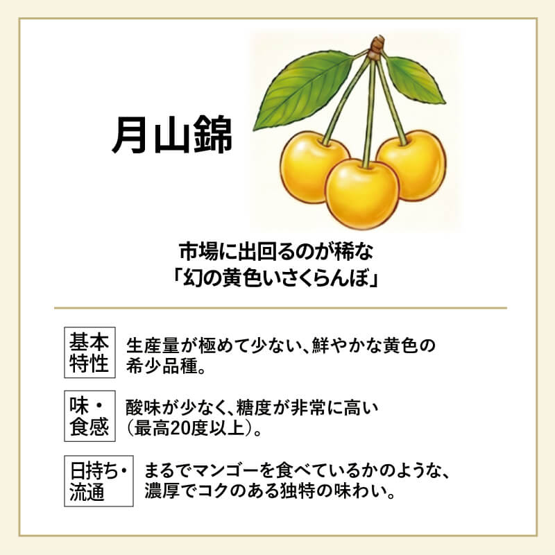 月山錦 2L ＆ 佐藤錦 L バラ詰め 各500gセット 山形さくらんぼ黄色い