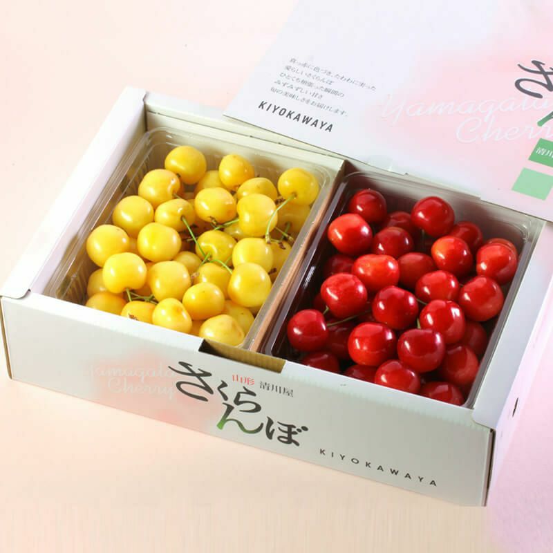 月山錦 2L ＆佐藤錦 秀選 L 各500gセット 山形さくらんぼ黄色い