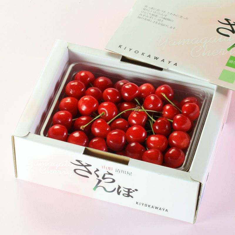 佐藤錦 特選バラ詰め 500g 山形さくらんぼ食べきりサイズ｜清川屋