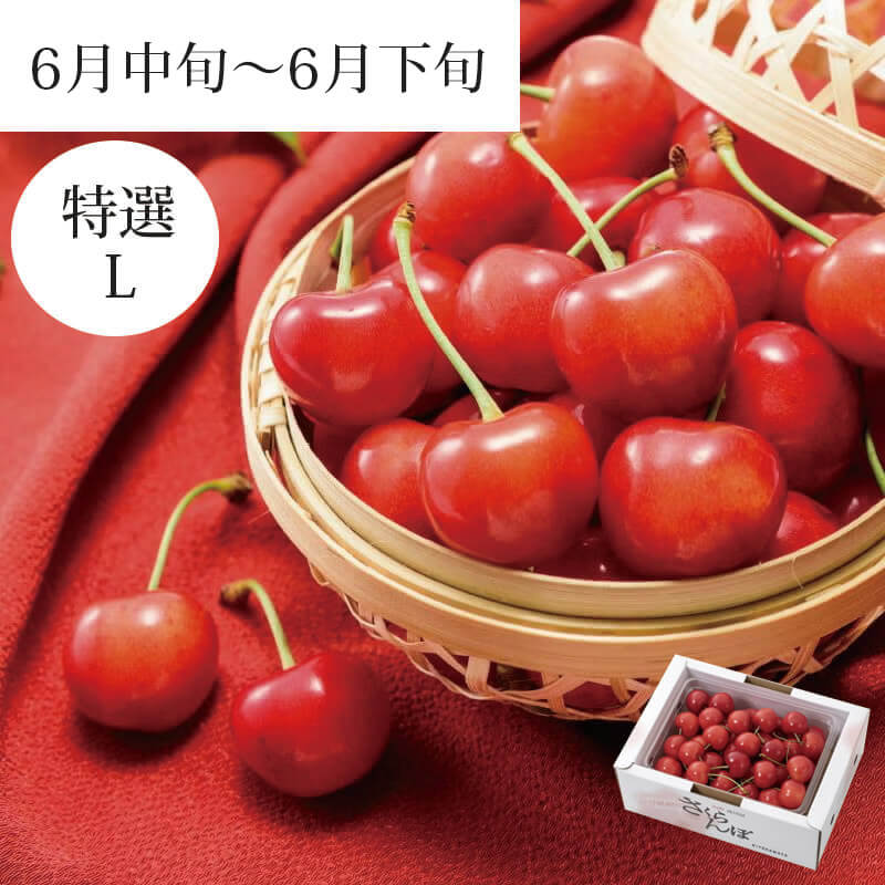 特選佐藤錦 バラ詰め 500g_パッケージイメージ