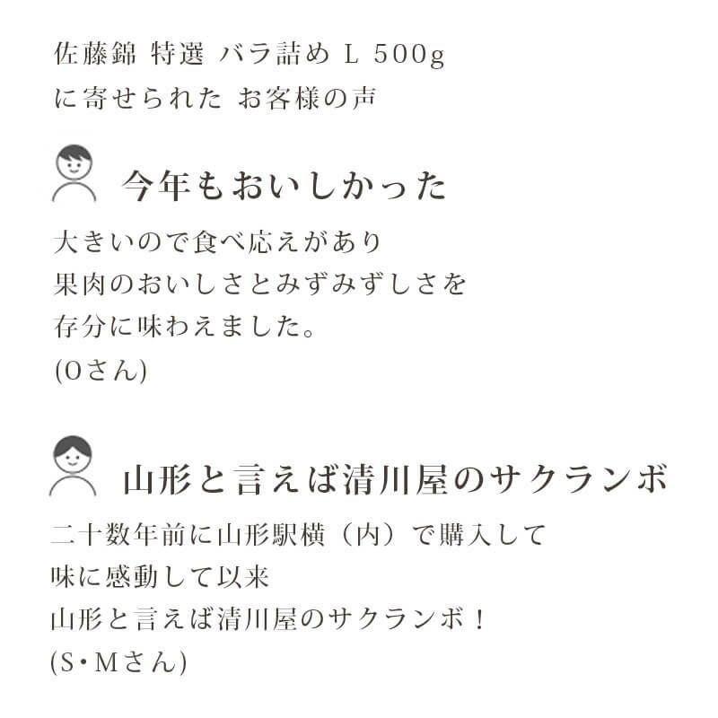 特選佐藤錦 バラ詰め500gお客様の声