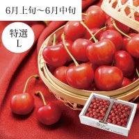  特選佐藤錦 バラ詰め 1kg