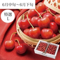  特選佐藤錦 バラ詰め 1kg