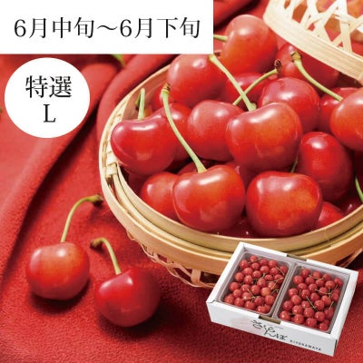  特選佐藤錦 バラ詰め 1kg