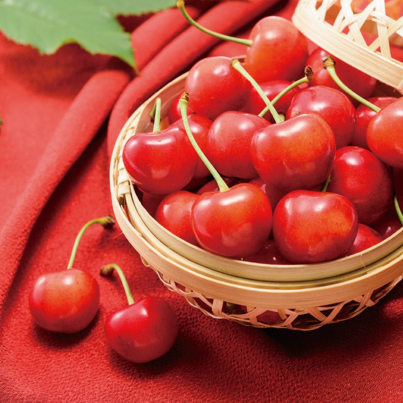 佐藤錦 特選バラ詰め 1kg 山形さくらんぼたっぷり1kg｜清川屋