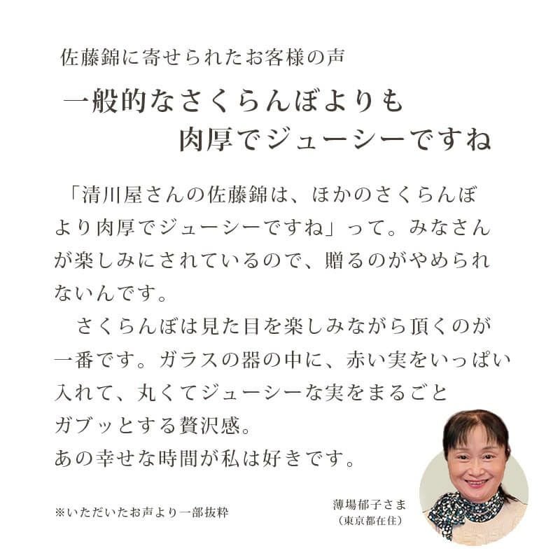 佐藤錦 特選L 1kg｜1.7万箱超の実績：山形さくらんぼ清川屋