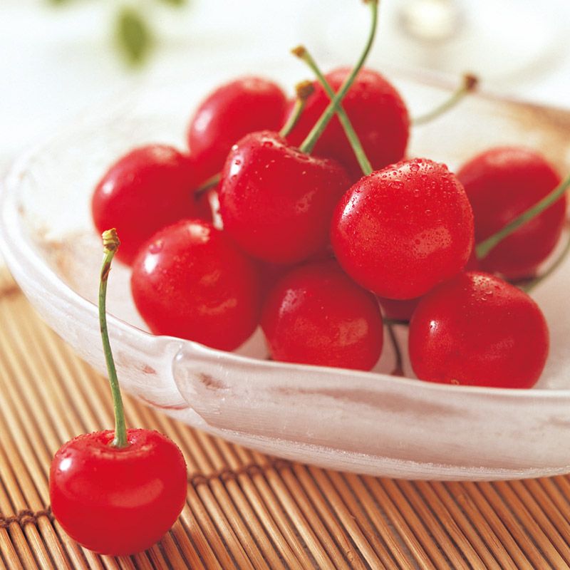 佐藤錦 特選バラ詰め 2L 500g 山形さくらんぼ大粒食べきりサイズ｜清川屋