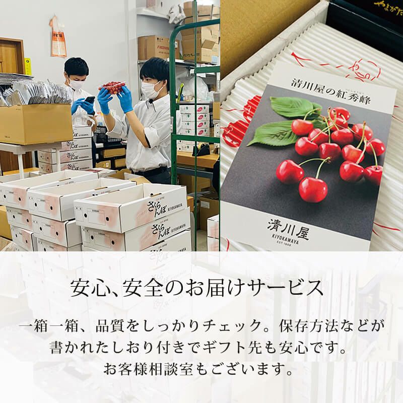 佐藤錦 特選バラ詰め 2L 500g 山形さくらんぼ大粒食べきりサイズ｜清川屋
