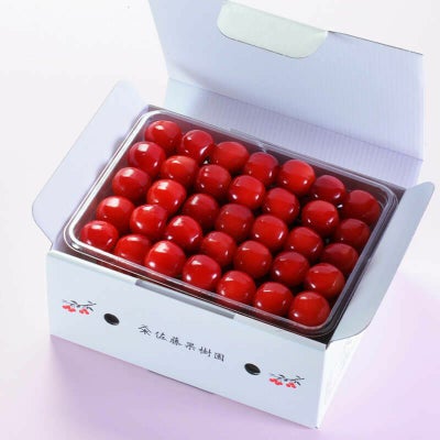 元祖佐藤錦 最高級 名人詰め L 600g_パッケージイメージ