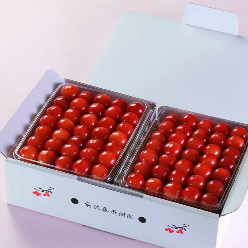 元祖佐藤錦 最高級 名人詰め Lサイズ 1.2kg 山形さくらんぼ佐藤錦発祥