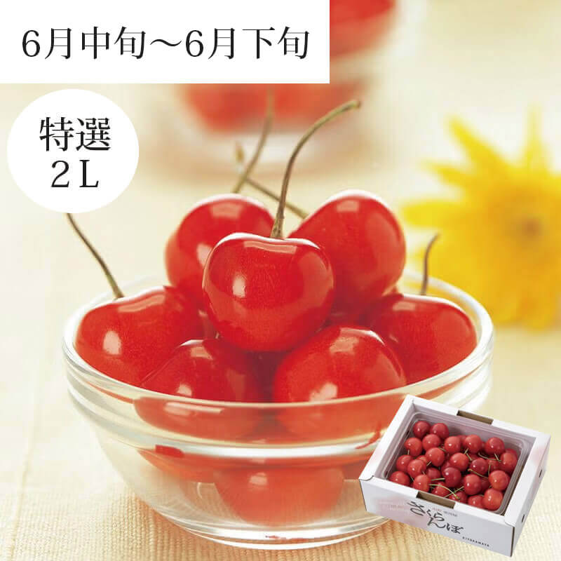 紅秀峰 特選2L 500g 2026予約｜1.7万箱超の実績：山形さくらんぼ清川屋